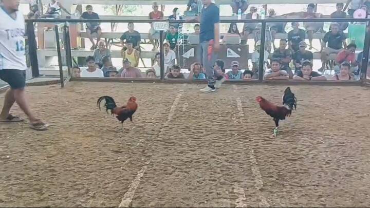 Isa, dalawang palo patay