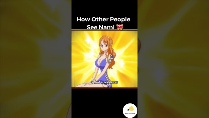 How the straw hats see Nami Vs How other people see Nami