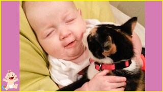 Best video of Cute Babies and Pets - Funny Baby and Pet