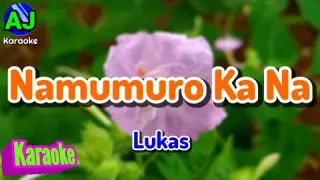 NAMUMURO KA NA - Lukas | KARAOKE HD