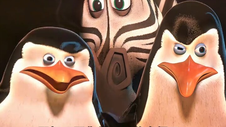 Monkey Guild: Boss, you don't want people to find out about the photos, do you?