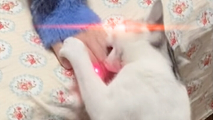 Mulberry's double standard scene: I'm sorry, only my mother's hands are the most precious.