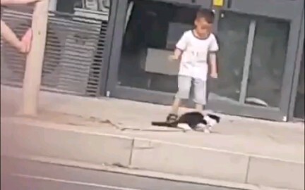 Inilah yang disebut dengan cahaya jalan yang benar