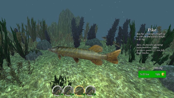 MANCING 7MINIT 4EKOR JE KITA DAPAT🤣