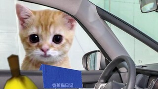 دمية تترك ريادة الأعمال، تعال لمسح سيارة قطة الموز