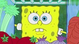 SpongeBob ใช้ผักมังสวิรัติจำนวนหนึ่งเพื่อทำซุปที่อร่อยมาก และเจ้าสเนลตัวน้อยก็ชอบมันมาก!
