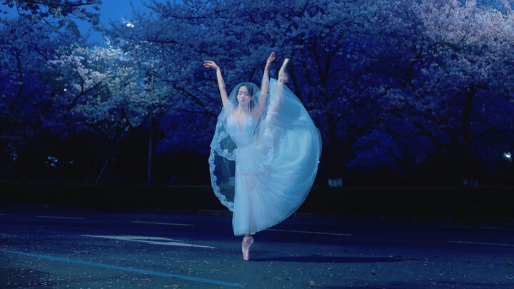 【Adegan Giselle】Ballet di Bawah Sakura Universitas Wuhan | Berusia 19 Tahun, 15 Tahun Menekuni Balle