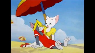 tom and jerry tom and jerry cartoon