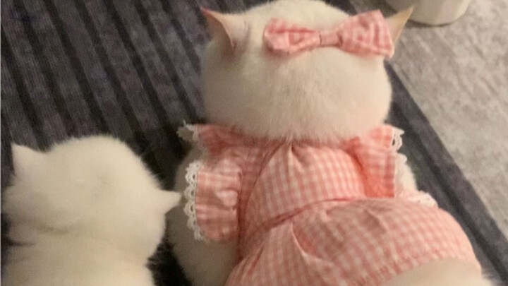 Pink Bow