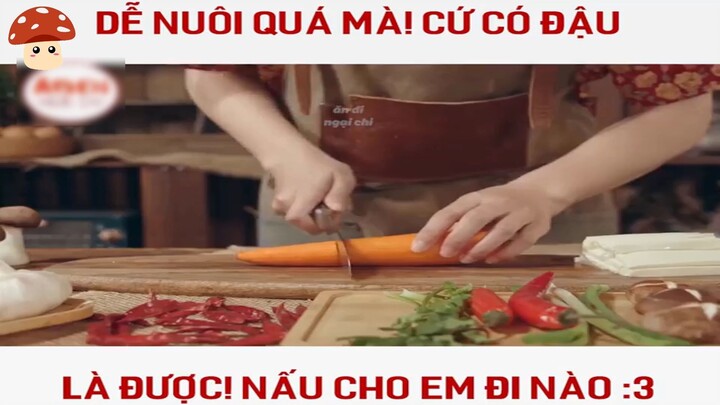 Món này tuyệt cú mèo nha! Món đậu hũ Tứ Xuyên 😻#doanngon#reviewfood