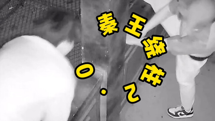 就没有我不敢玩的密室