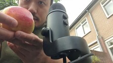 ASMR EATING SOUNDS - APPLE