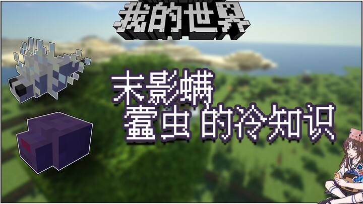 Minecraft Trivia: Have You Ever Seen Red Moths?