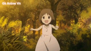 tóm tắt: animelạc vào khu rừng đom đóm