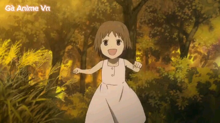 tóm tắt: animelạc vào khu rừng đom đóm