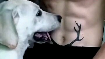 Take a look at the puppy