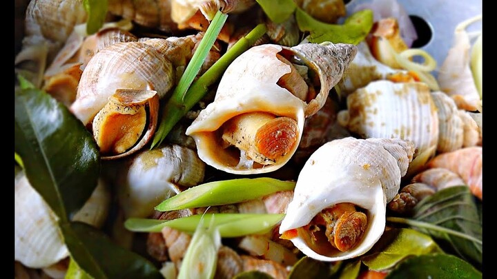 Steamed Whelk , Sea Snail with herb Thai style with seafood sauce