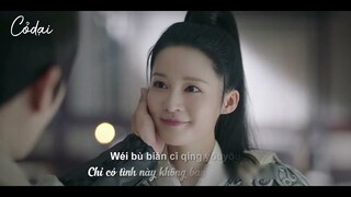 [Vietsub + Pinyin] Hồng Nhan Xưa / 红颜旧 - Lưu Đào / 刘涛 / Cẩm tú nam ca -Lý Thấm Ver