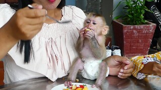Today Baby Monkey Maki refreshingly Happy joining Eat Cake and drink milk With Family For breakfast