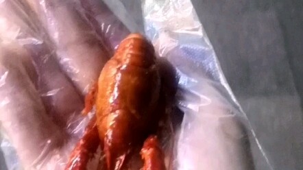 My roommate said, “Bring me a shrimp.” I said, “Okay.”