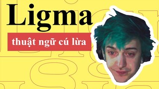 What Is Ligma Meme? |  Ligma Balls | Cú Lừa Nổi Tiếng Là Khắm Lọ Nhất Thế Kỉ | Từ Điển Internet