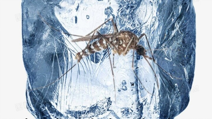 เด็กๆ ถึงเวลาที่ฉันจะละลายน้ำแข็งแล้วนะ (*^▽^*)