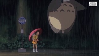 REVIEW ANIME: “ HÀNG XÓM CỦA TÔI LÀ TOTORO “ ( Phần 6 ) #reviewanimehaynhat