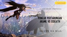 Puncak Pertarungan Akame vs Esdath || Akame ga Kill Fandubbing Indonesia