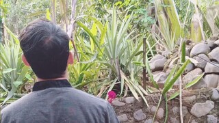 only man can understand #zaintemanime #ytshorts #lucu #videolucu #fyp #meme #memelucu #pria #cowok