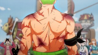 Zoro Reveals All His Scars to the Straw Hat Pirates - One Piece