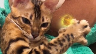 现实英雄联盟