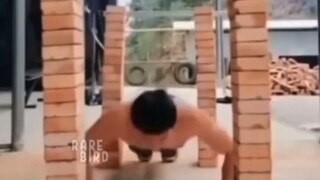 佐川整活日记。