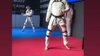 virtual taekwondo