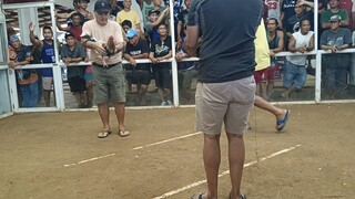 dominated
