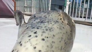啪啪啪啪啪啪啪啪啪啪啪啪啪啪啪啪啪啪啪啪啪啪啪啪啪啪啪啪啪啪啪啪啪啪啪啪啪啪啪啪啪啪啪啪啪啪啪啪啪啪啪啪啪啪啪啪啪啪啪啪啪啪啪啪啪啪啪啪啪啪啪啪啪啪啪
