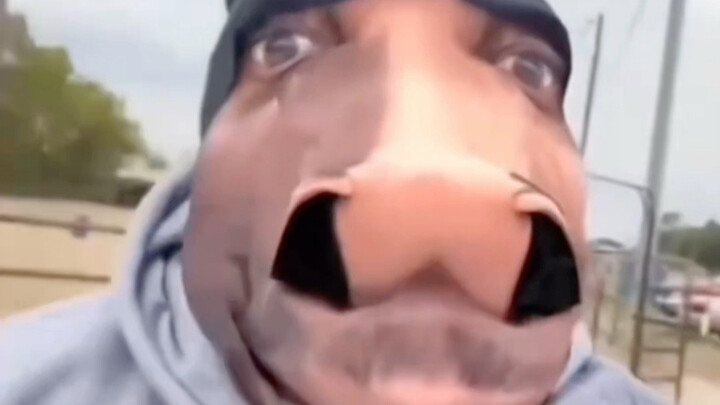 ถ้าหัวเราะก็ให้ทุกคนเป็นไก่ตัวผู้ขับรถบัส • 182