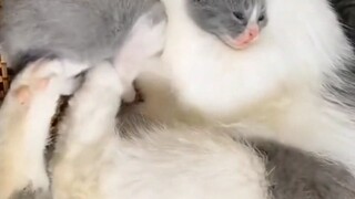 What is this operation?