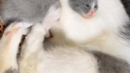 What is this operation?