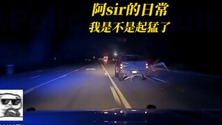 Officer A's daily life: Not all cars climbing trees are Mercedes-Benzes—sometimes it could be a pick