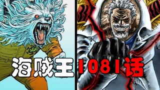 【阿旺】海贼王1081话！卡普揍青雉！月亮狮子贝波救罗！