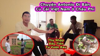 Antonio bán củ cải Việt Nam Cho Người Trung Quốc ở Châu Phi và cái kết||2Q vlogs cuộc sống châu phi
