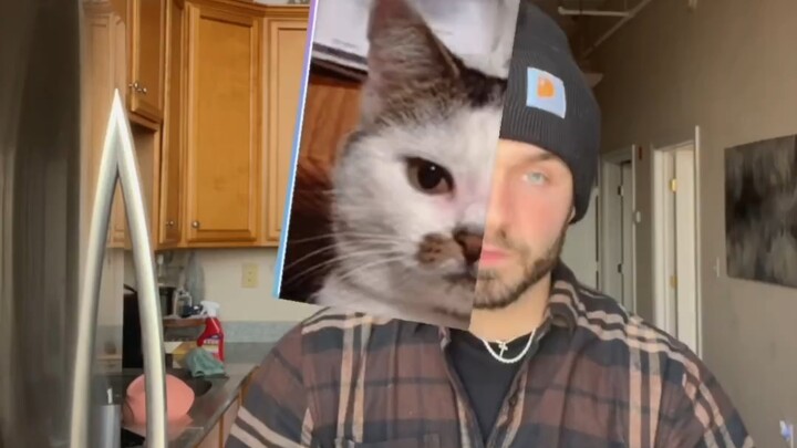 "Memilih secara acak hewan yang cocok untuk Anda"