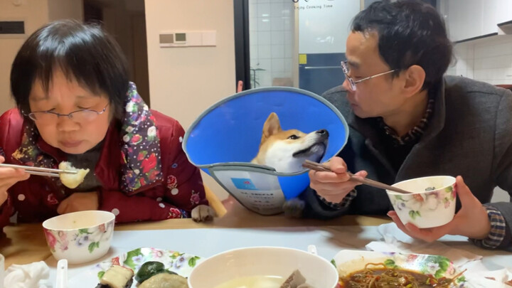 [Dogs] Who Is Your Child?