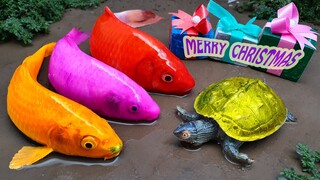 Christmas Membersihkan bebek penyu juru ikan mas Stop Motion ASMR Telur warna-warni lucu video!