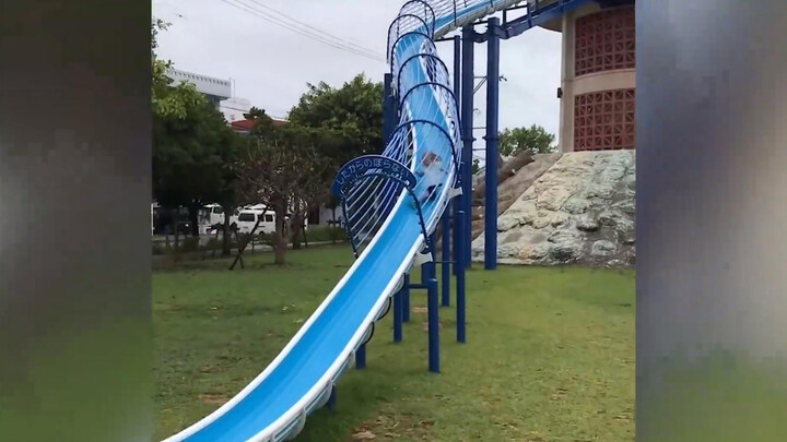 [Tổng hợp]Những khoảnh khắc vui nhộn của con người