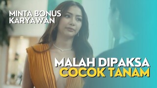 BERCOCOK TANAM BERANTAS KEMISKINAN - ALUR FILM FILIPINA