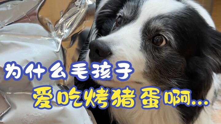 Kenapa anak-anak bulu suka banget makan telur babi bakar...?