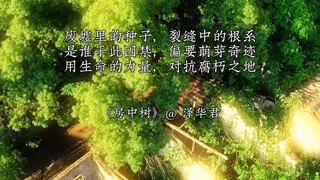 《Cây trong phòng》 Phá vỡ xiềng xích nguyên sinh, bạn và tôi đều là những cây đại thụ #Trạch Hoa Quân
