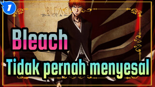 [Bleach] Aku tidak pernah menyesal menjadi dewa kematian_1