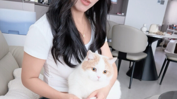 Một ngày đưa mèo đi hẹn hò gặp gỡ trực tiếp